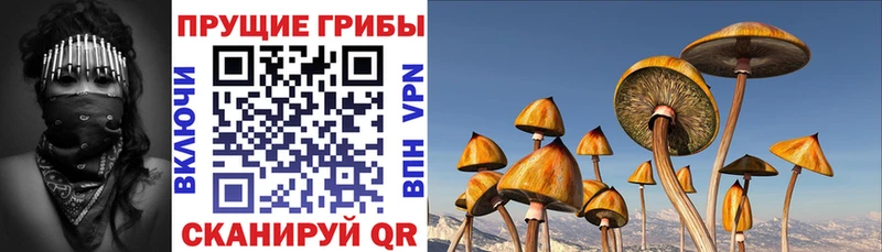 Псилоцибиновые грибы Cubensis  Углегорск 